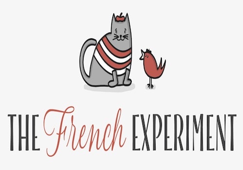 the french experiment logo the french experiment