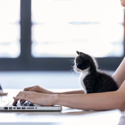 online french courses
