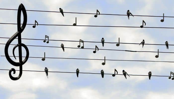 Greatest singers for French learners great singers for French learners